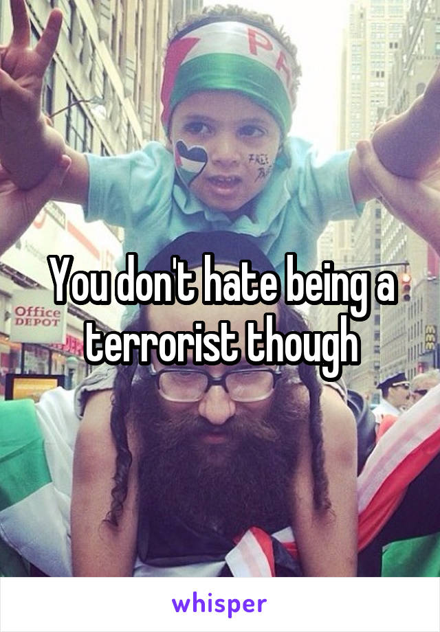 You don't hate being a terrorist though