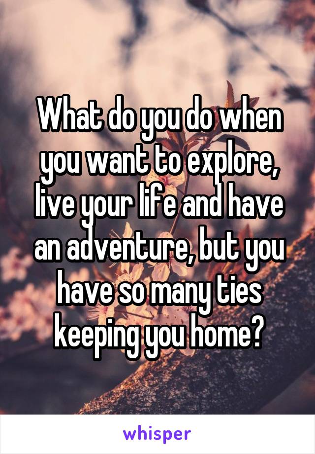 What do you do when you want to explore, live your life and have an adventure, but you have so many ties keeping you home?