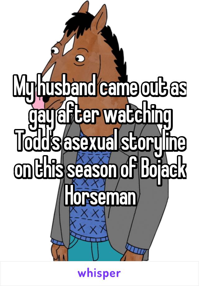 My husband came out as gay after watching Todd's asexual storyline on this season of Bojack Horseman