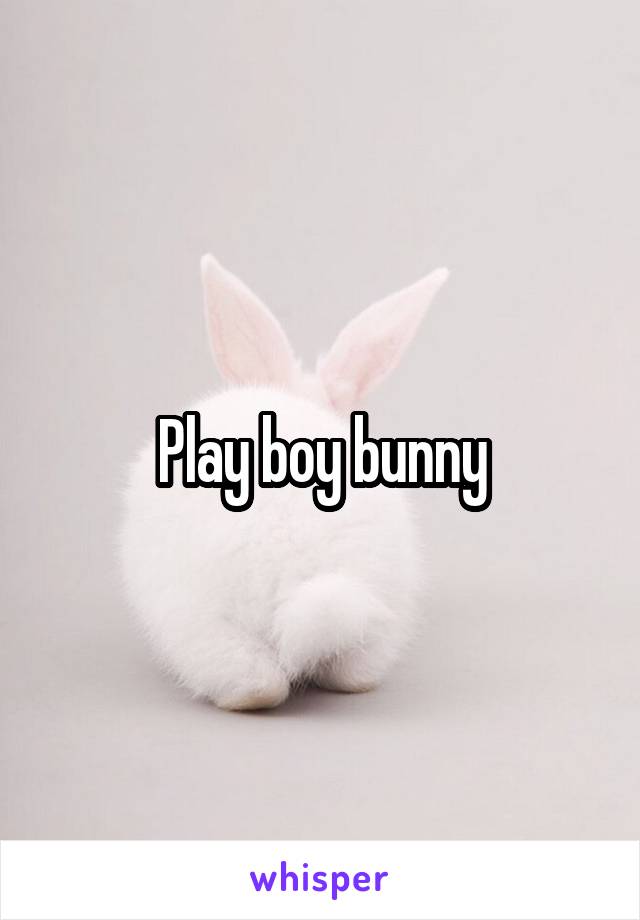 Play boy bunny