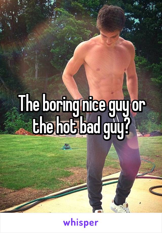 The boring nice guy or the hot bad guy?