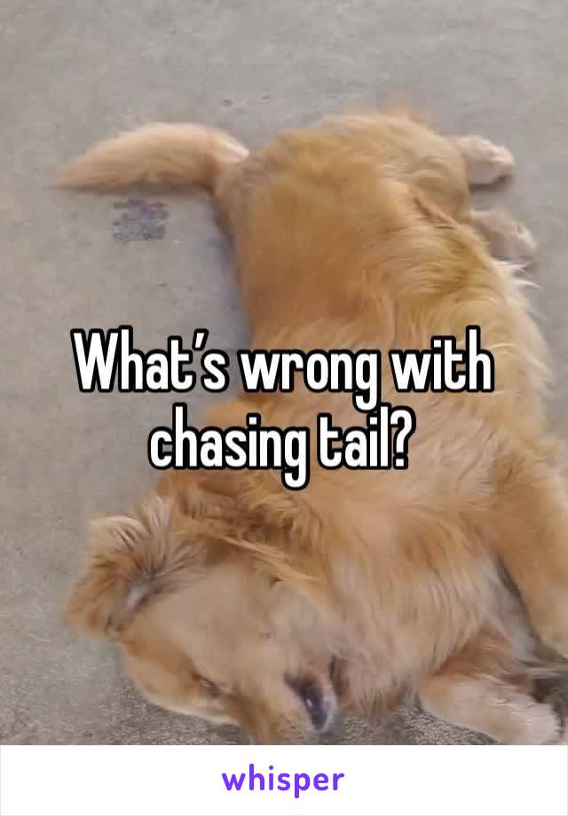 What’s wrong with chasing tail? 