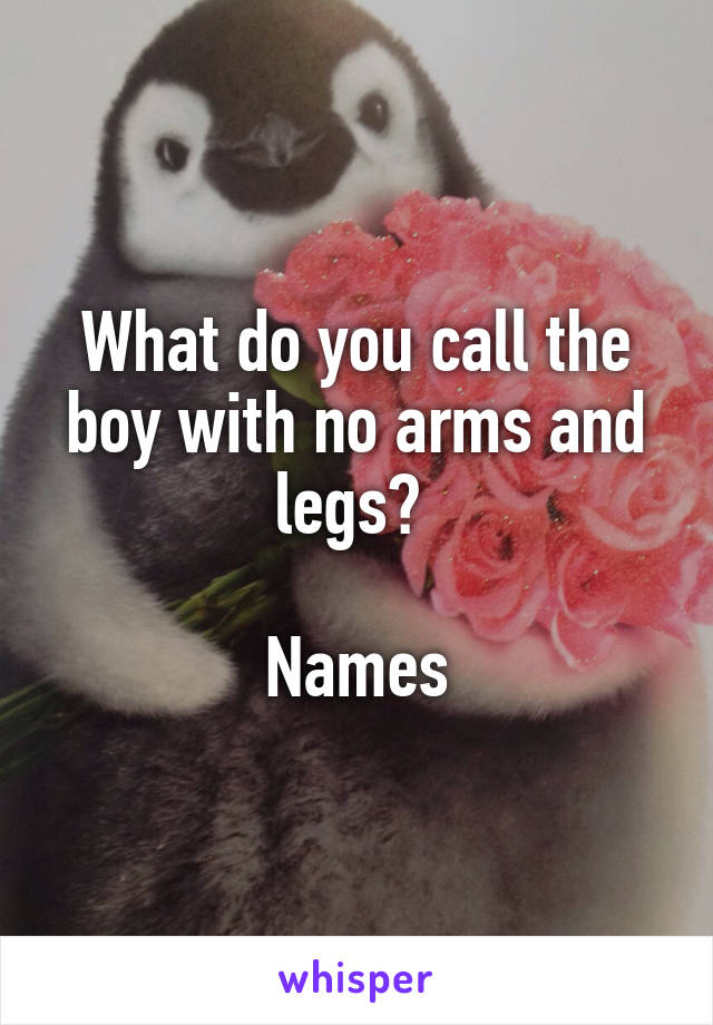 What do you call the boy with no arms and legs? 

Names