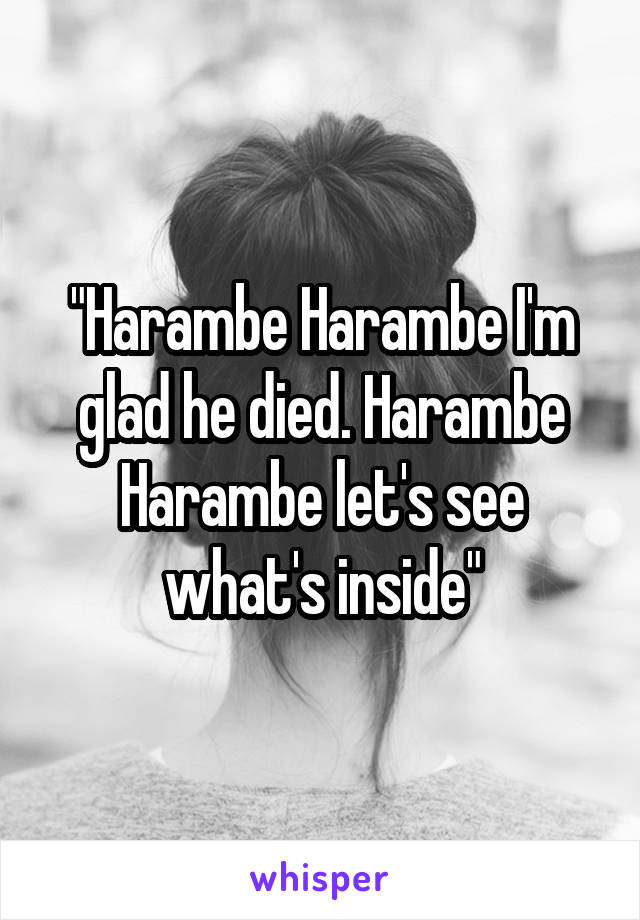 "Harambe Harambe I'm glad he died. Harambe Harambe let's see what's inside"