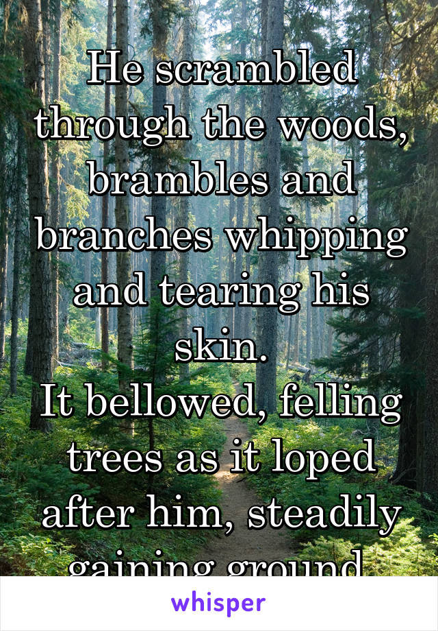 He scrambled through the woods, brambles and branches whipping and tearing his skin.
It bellowed, felling trees as it loped after him, steadily gaining ground.