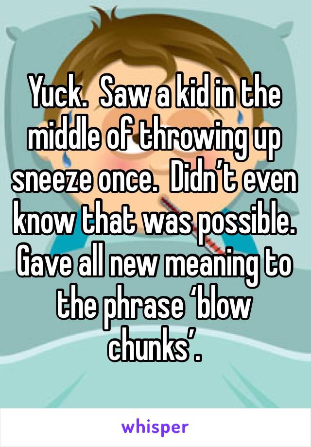 Yuck.  Saw a kid in the middle of throwing up sneeze once.  Didn’t even know that was possible. Gave all new meaning to the phrase ‘blow chunks’.