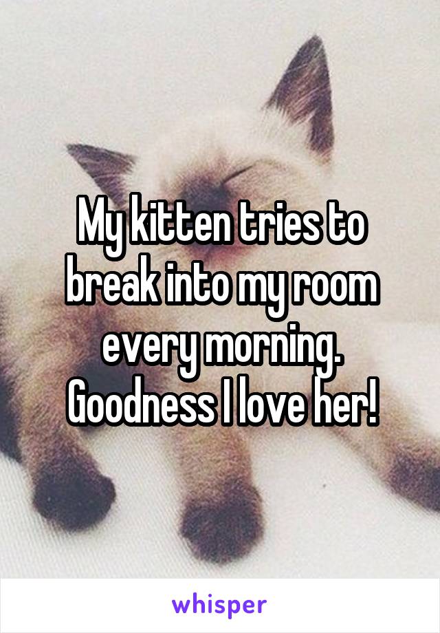 My kitten tries to break into my room every morning. Goodness I love her!