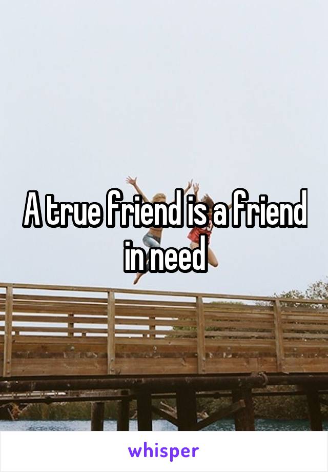 A true friend is a friend in need