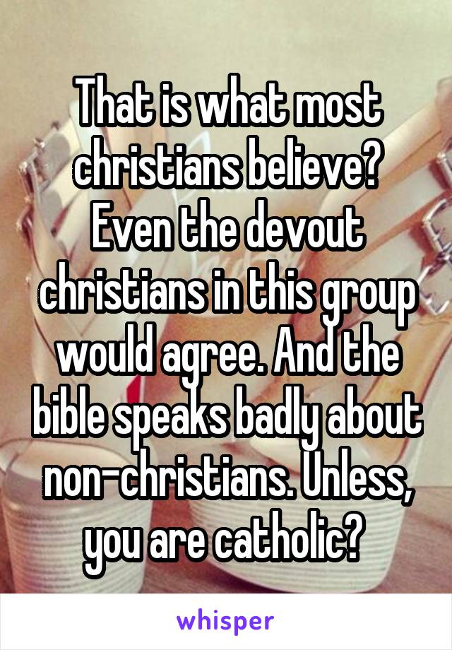 That is what most christians believe? Even the devout christians in this group would agree. And the bible speaks badly about non-christians. Unless, you are catholic? 