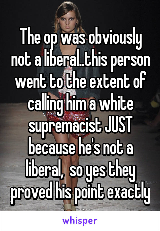 The op was obviously not a liberal..this person went to the extent of calling him a white supremacist JUST because he's not a liberal,  so yes they proved his point exactly