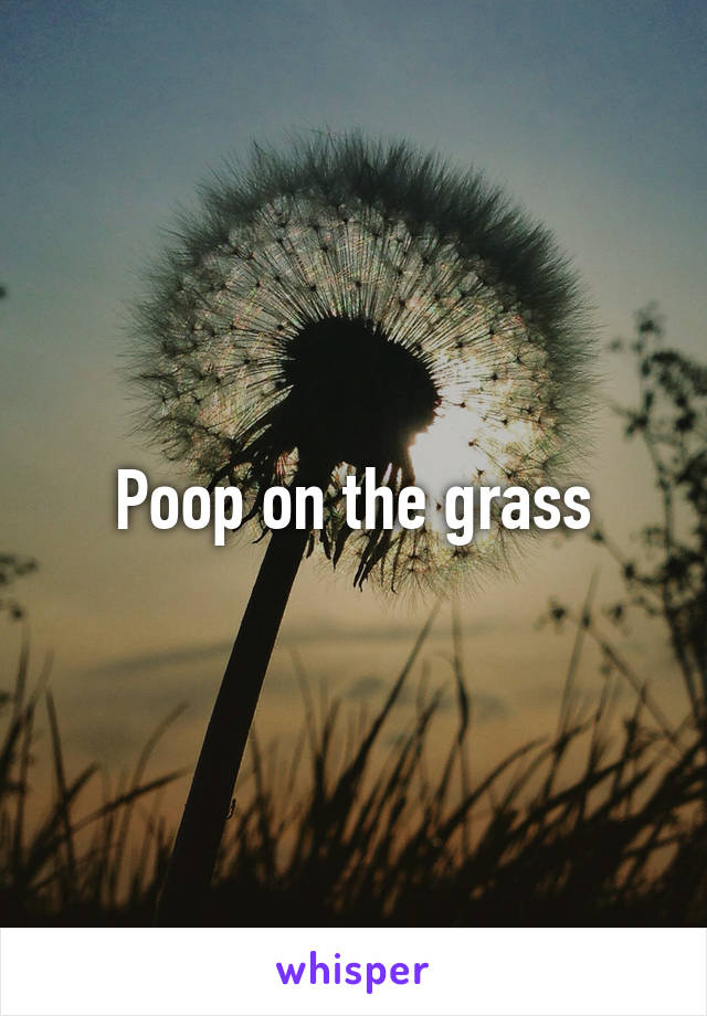 Poop on the grass