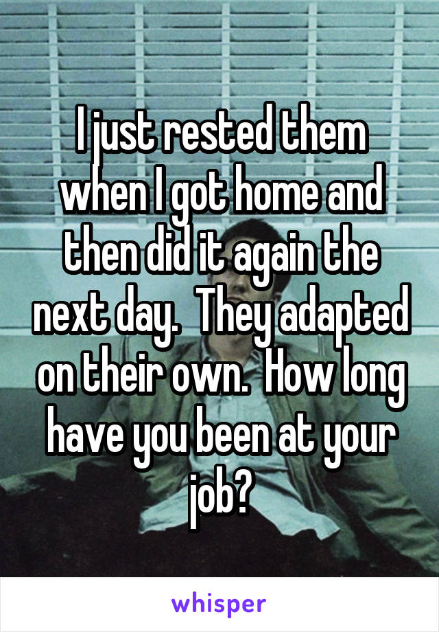 I just rested them when I got home and then did it again the next day.  They adapted on their own.  How long have you been at your job?