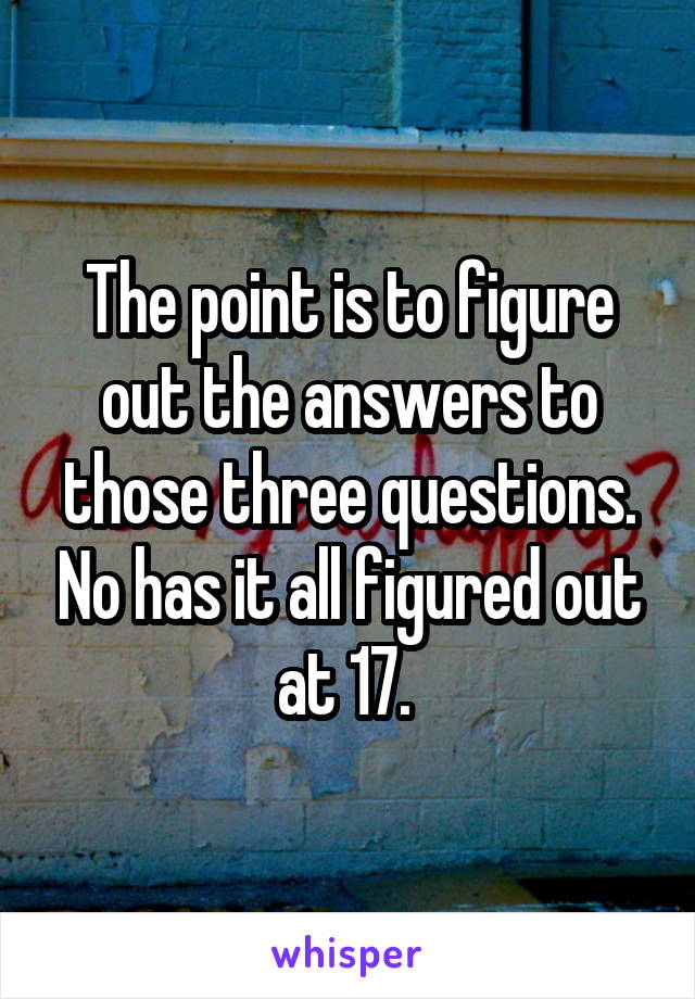 The point is to figure out the answers to those three questions. No has it all figured out at 17. 