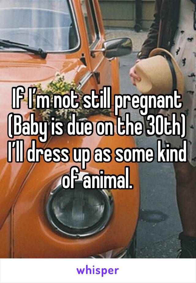 If I’m not still pregnant 
(Baby is due on the 30th)
I’ll dress up as some kind of animal. 