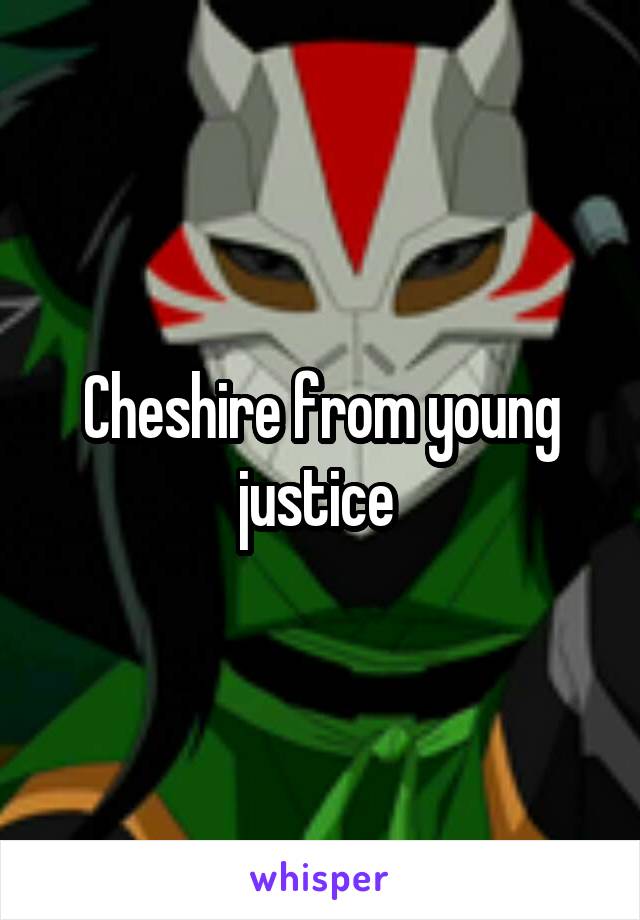 Cheshire from young justice 