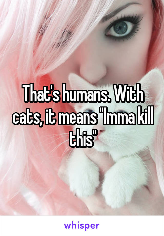 That's humans. With cats, it means "Imma kill this"