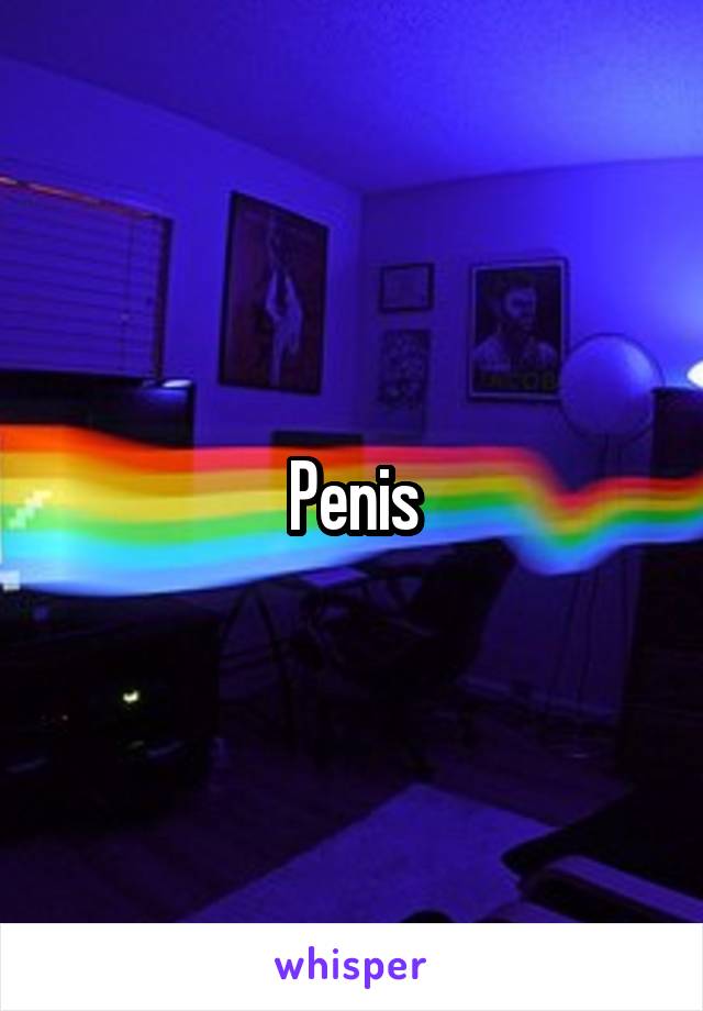 Penis