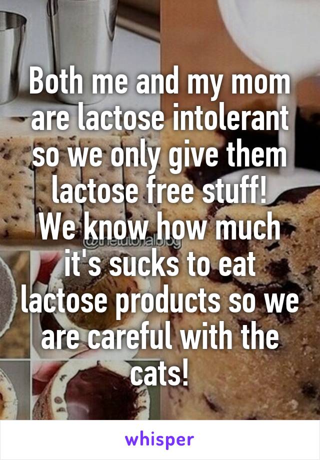 Both me and my mom are lactose intolerant so we only give them lactose free stuff!
We know how much it's sucks to eat lactose products so we are careful with the cats!