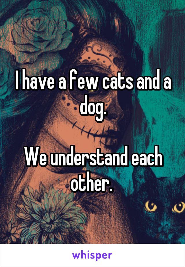 I have a few cats and a dog.

We understand each other. 