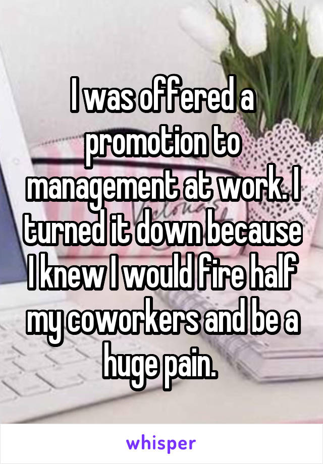I was offered a promotion to management at work. I turned it down because I knew I would fire half my coworkers and be a huge pain. 