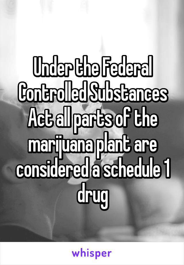 Under the Federal Controlled Substances Act all parts of the marijuana plant are considered a schedule 1 drug