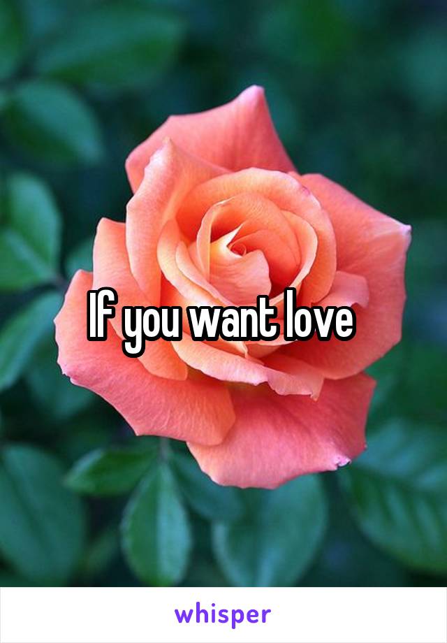 If you want love 