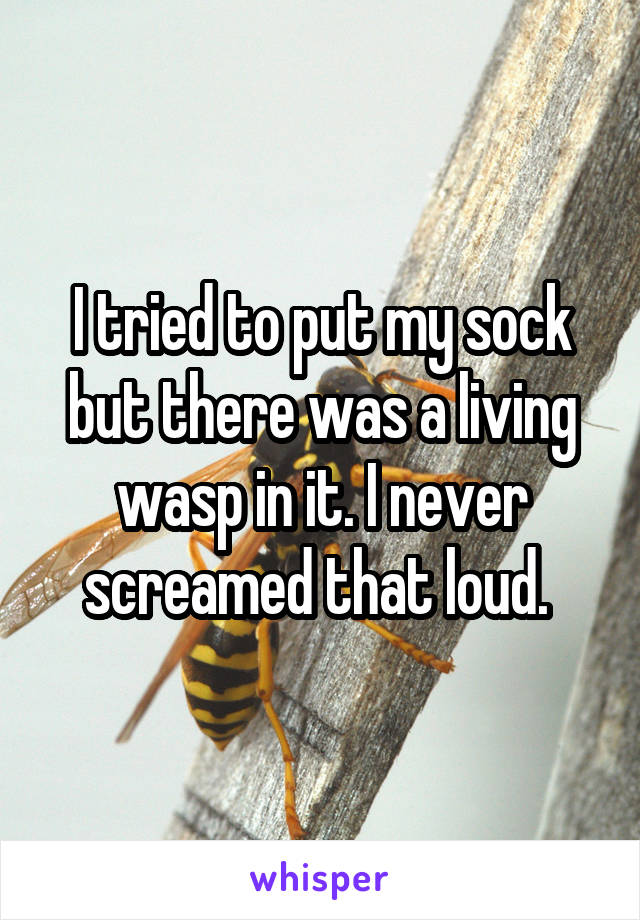 I tried to put my sock but there was a living wasp in it. I never screamed that loud. 