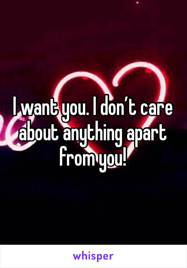 I want you. I don’t care about anything apart from you! 