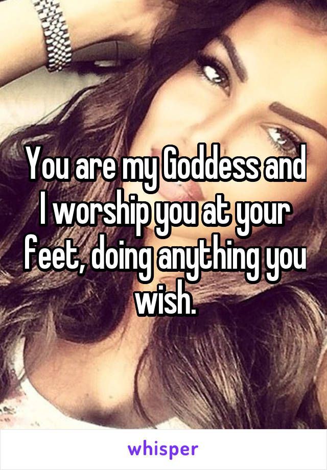 You are my Goddess and I worship you at your feet, doing anything you wish.