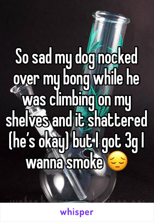 So sad my dog nocked over my bong while he was climbing on my shelves and it shattered (he’s okay) but I got 3g I wanna smoke 😔