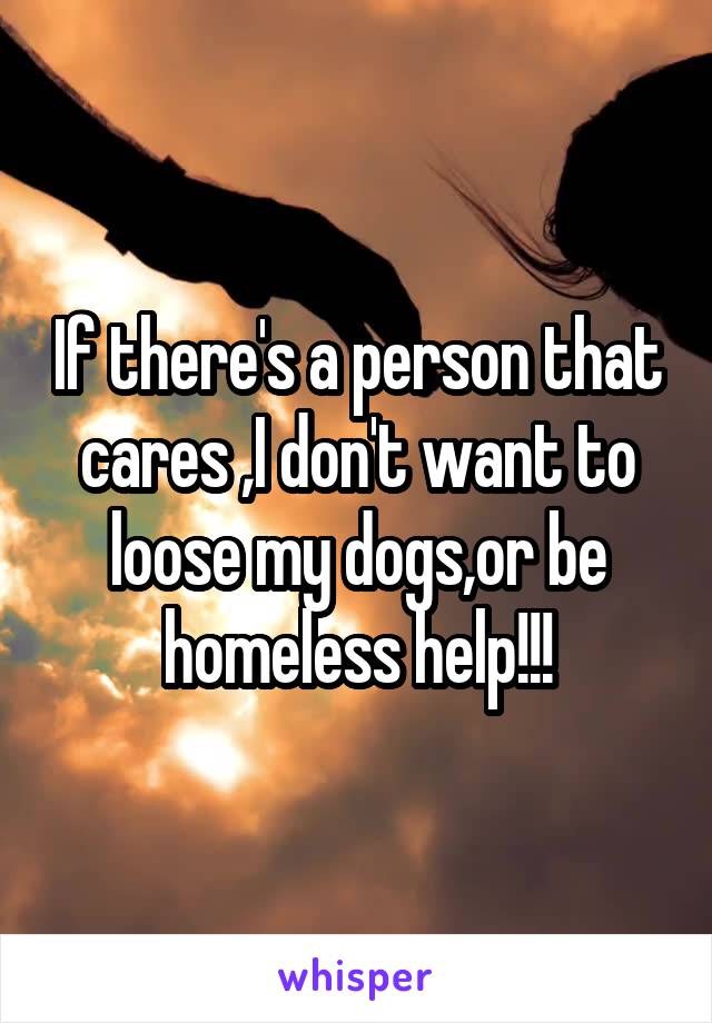 If there's a person that cares ,I don't want to loose my dogs,or be homeless help!!!