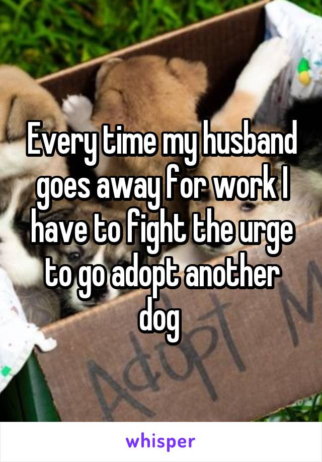 Every time my husband goes away for work I have to fight the urge to go adopt another dog 