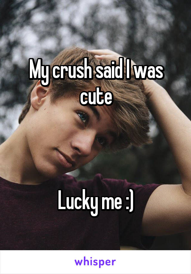 My crush said I was cute



Lucky me :)