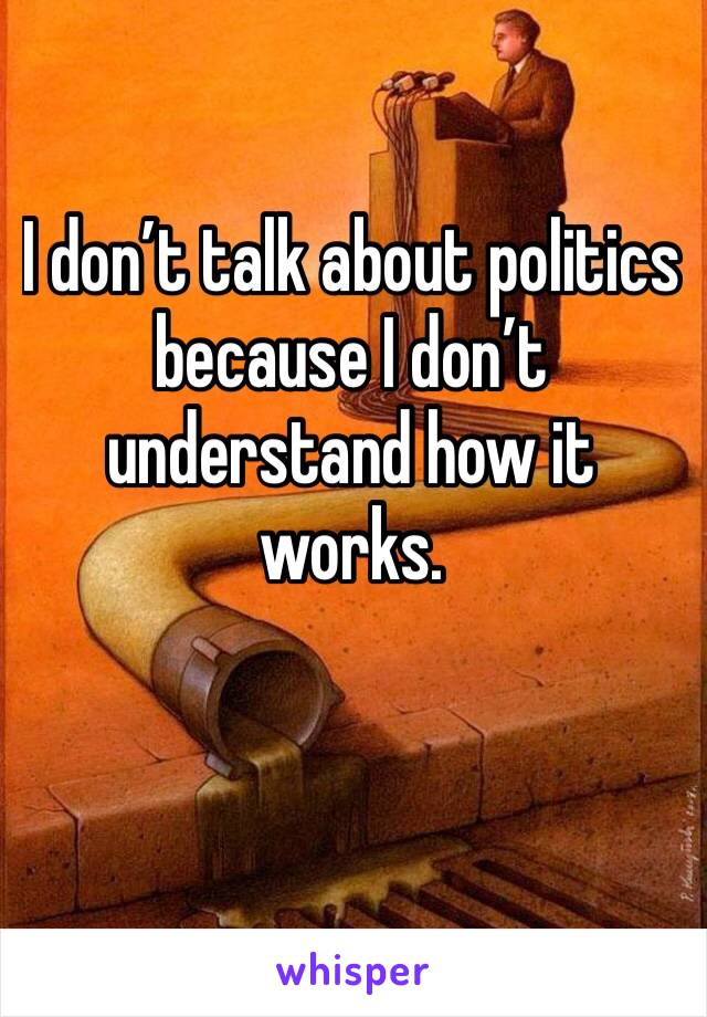 I don’t talk about politics because I don’t understand how it works. 