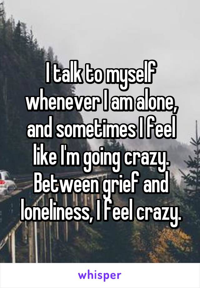 I talk to myself whenever I am alone, and sometimes I feel like I'm going crazy. Between grief and loneliness, I feel crazy.
