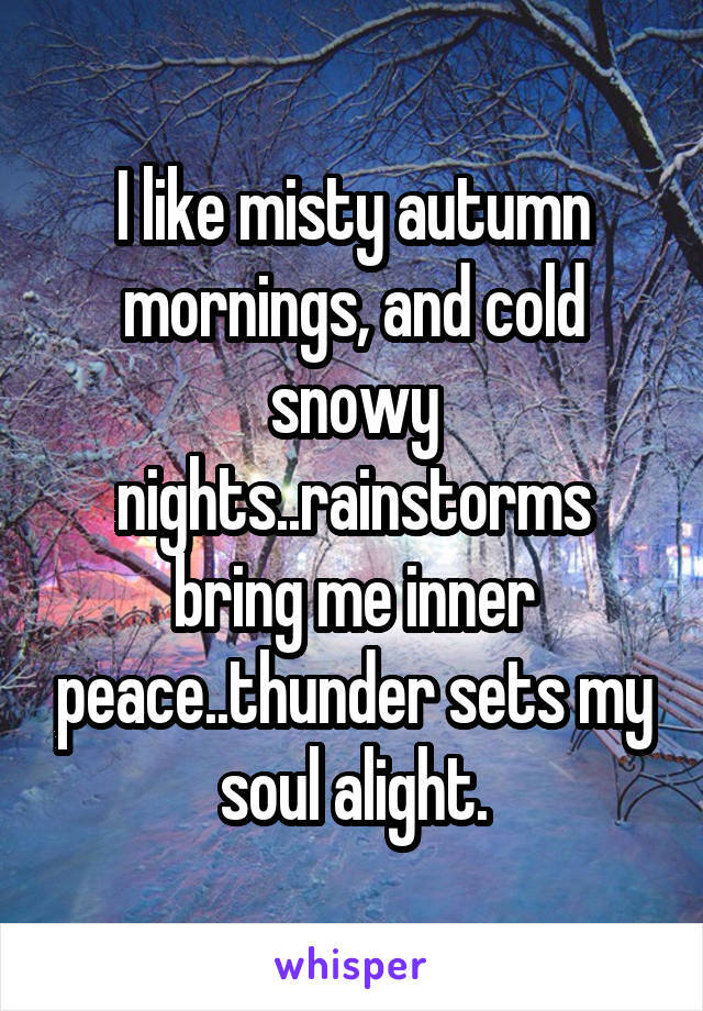 I like misty autumn mornings, and cold snowy nights..rainstorms bring me inner peace..thunder sets my soul alight.