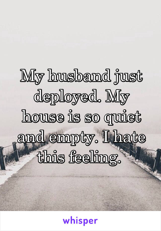 My husband just deployed. My house is so quiet and empty. I hate this feeling. 