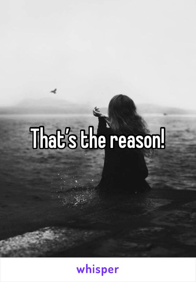 That’s the reason!