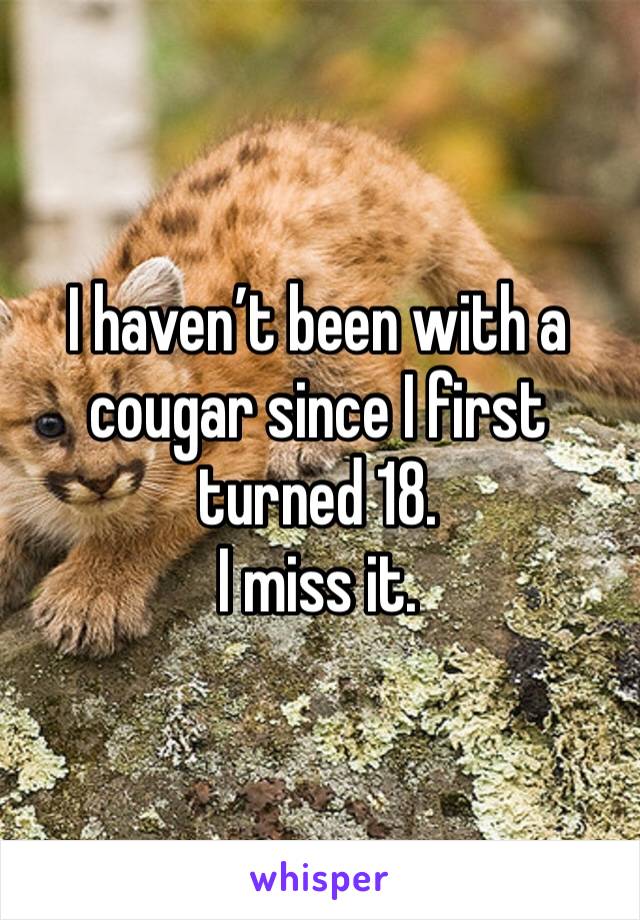 I haven’t been with a cougar since I first turned 18.
I miss it.