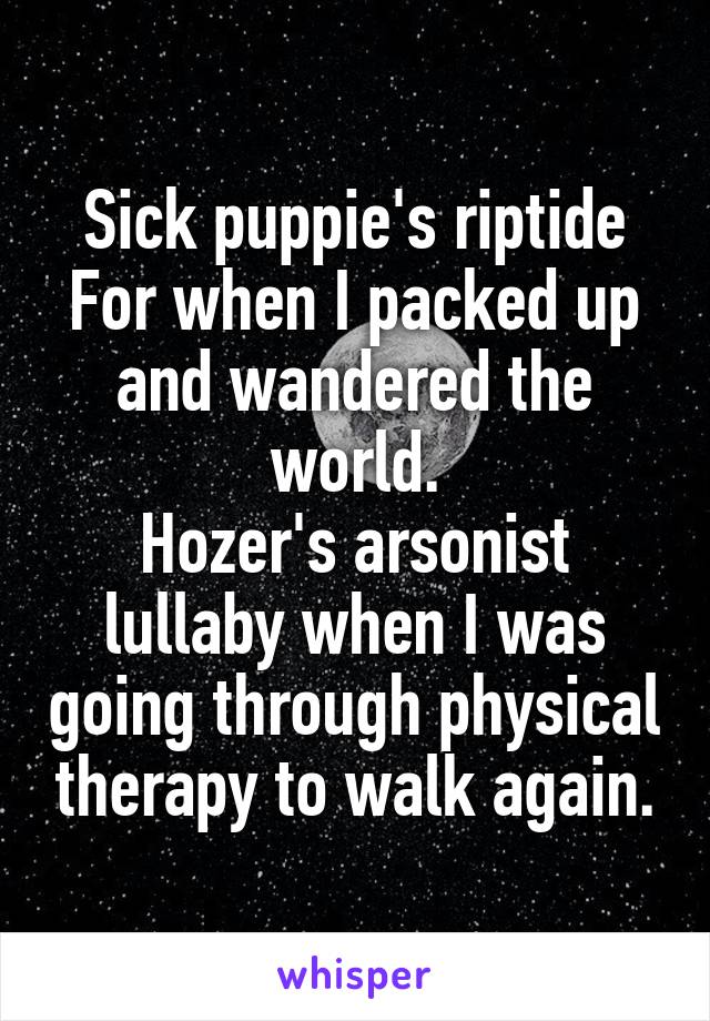 Sick puppie's riptide
For when I packed up and wandered the world.
Hozer's arsonist lullaby when I was going through physical therapy to walk again.