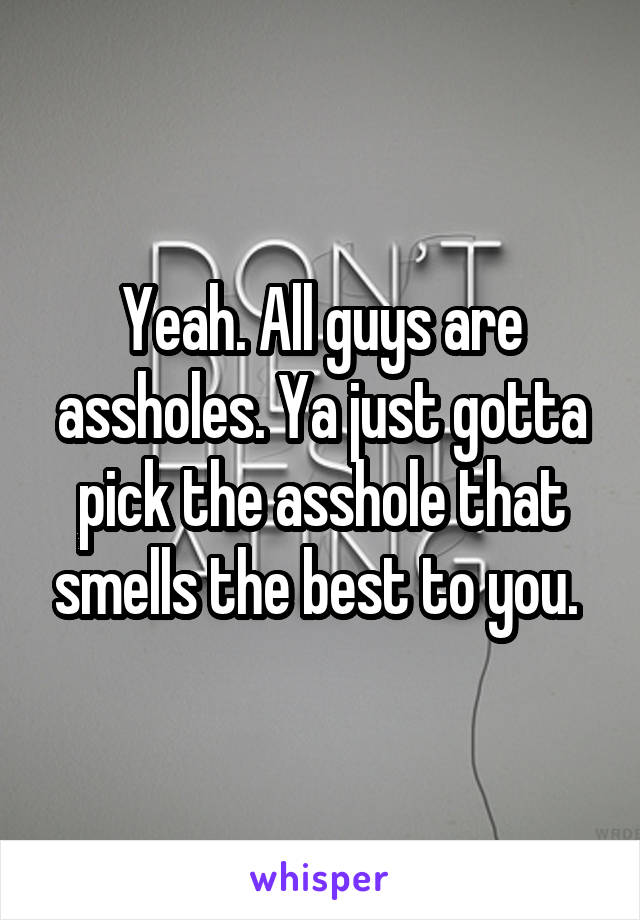 Yeah. All guys are assholes. Ya just gotta pick the asshole that smells the best to you. 