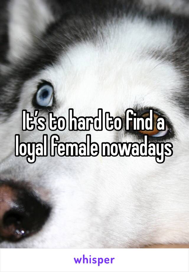 It’s to hard to find a loyal female nowadays 