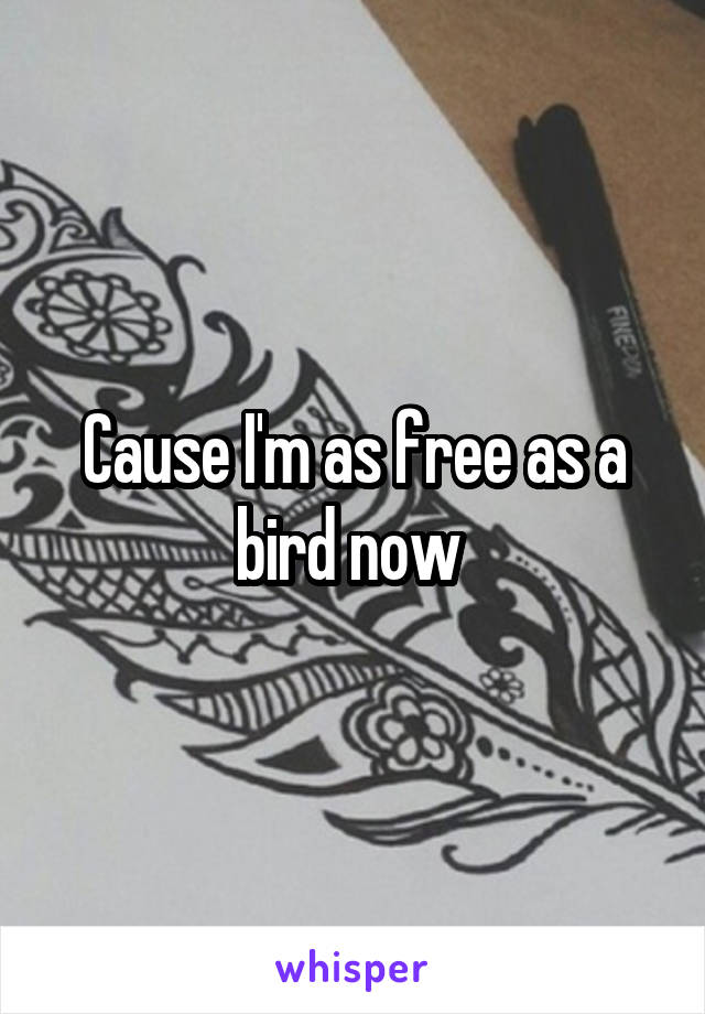 Cause I'm as free as a bird now 