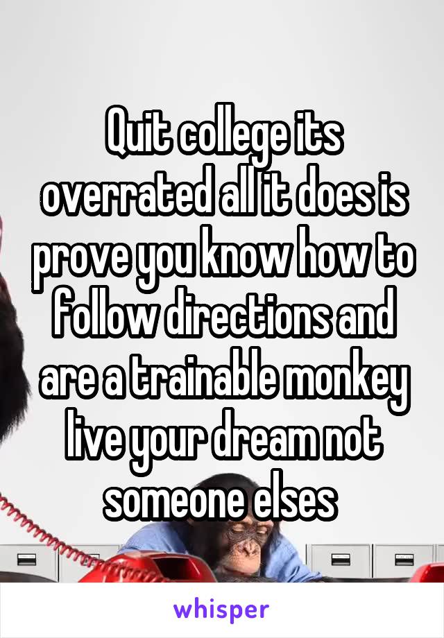 Quit college its overrated all it does is prove you know how to follow directions and are a trainable monkey live your dream not someone elses 