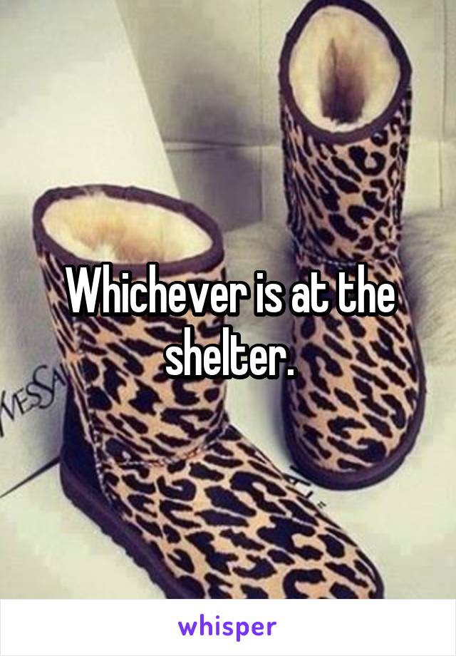 Whichever is at the shelter.