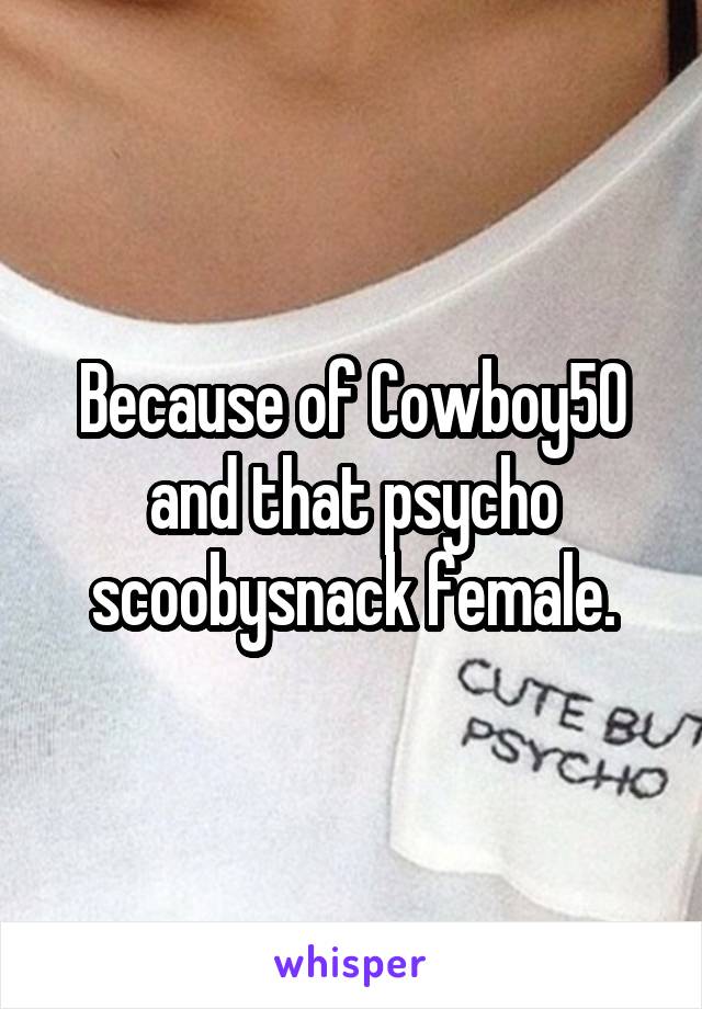 Because of Cowboy50 and that psycho scoobysnack female.