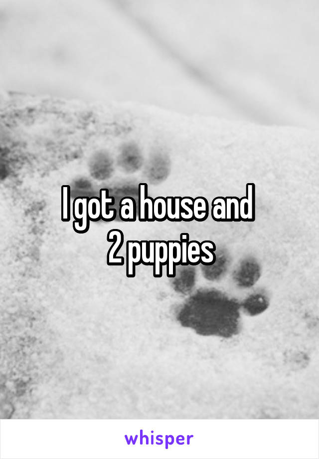I got a house and 
2 puppies