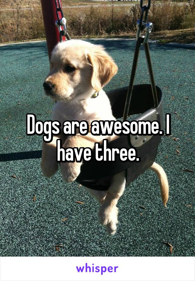 Dogs are awesome. I have three.