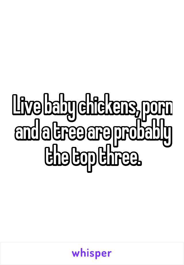 Live baby chickens, porn and a tree are probably the top three.