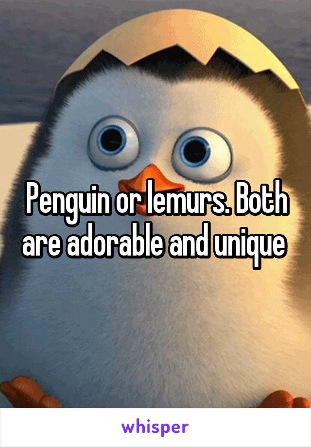 Penguin or lemurs. Both are adorable and unique 